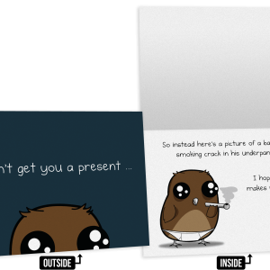 Baby Owl - NSFW Birthday Card