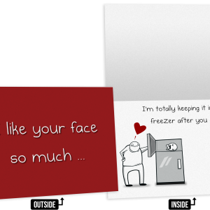 Face Freezer - NSFW Love & Friendship Greeting Card